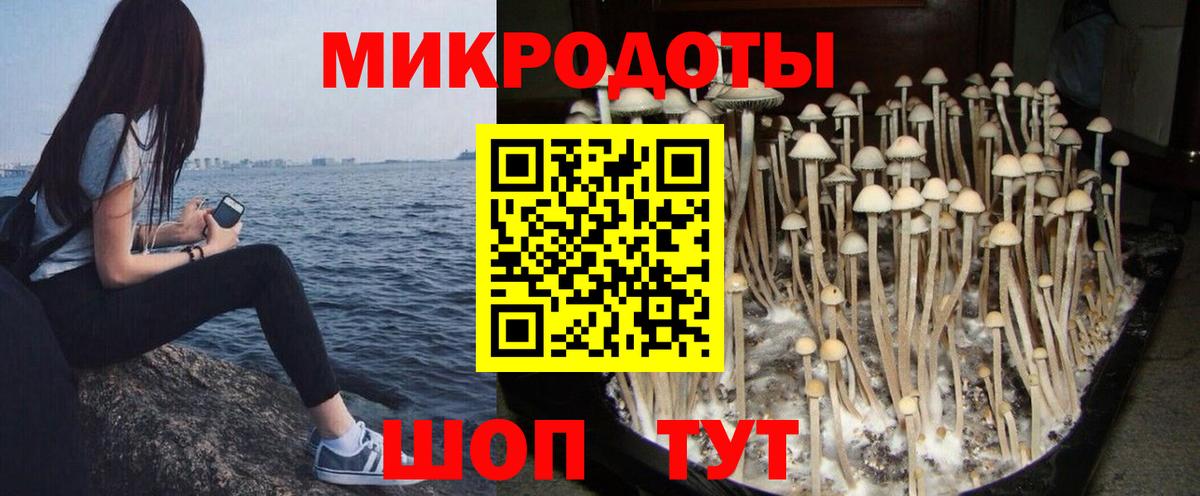Галлюциногенные грибы Cubensis  Вход с VPN  Псилоцибиновые грибы прущие грибы  где купить наркоту  Чехов 