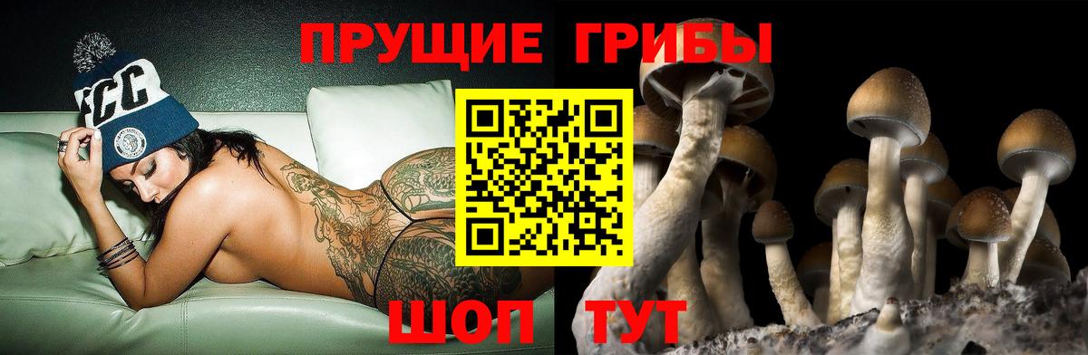 Галлюциногенные грибы прущие грибы Чехов